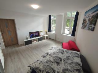 Grudziadz City Center A2-Apartamenty 54m WiFi - 0