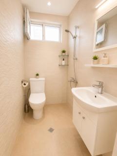 City Center Vintage Apartments - Walk Everywhere - Plowdiw - 1