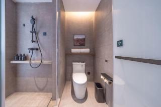 Atour Hotel Nanjing Jiangning University Town Hushan Road - 6