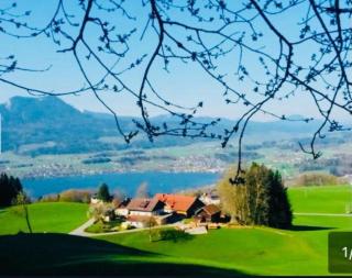 Ferienwohnung Mondseeblick - 1