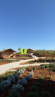 Eutierra living - 5