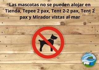 Camping Las Gaviotas - 8