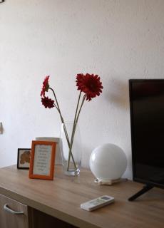 Apartman 23 - 2