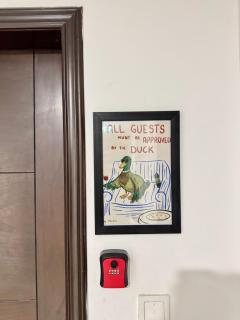 Olive Theory 1BHK Gulberg MM Alam Self Check-in Pool - 2