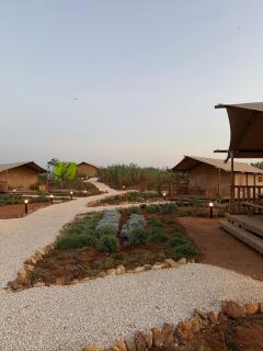 Eutierra living - 7