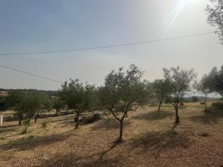 Zabbara Holiday Home Oasi di Luce e Relax a Noto - 8