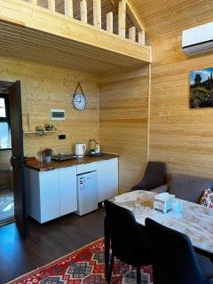 Kolsay Kayindy Barnhouse - 3