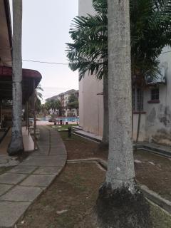 Iris 2 Homestay - 5