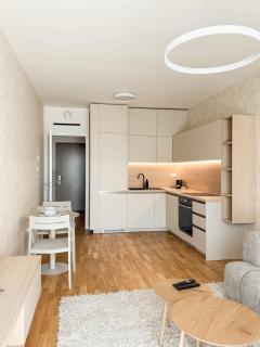 NEW Bright 1BR Metropolis Downtown AC Free Parking - 9