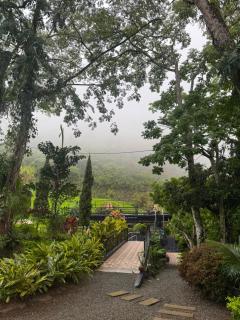 Selva del Rio San Jeronimo - 8