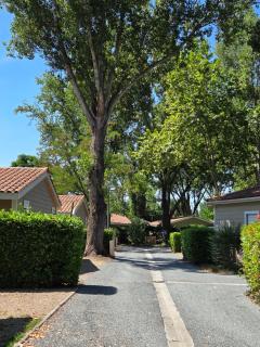 Chalet tout confort - 8