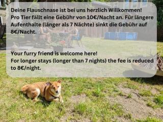 Urlaubsmagie - Ferienwohnung Farngrün - Sauna & Saisonaler Pool - F4 - Sebnitz - 2