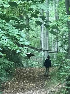 2700 m2 Platz zum Zelten , Eigener Wald - 8