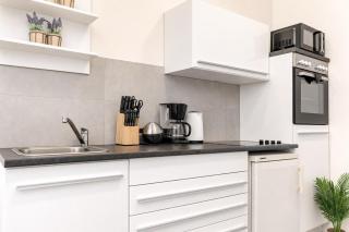 Modern & Cozy 1BR Apt for long Stay with TV & WiFi - 6