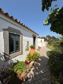 Casa na Colina : The Cottage and The Long House - 3