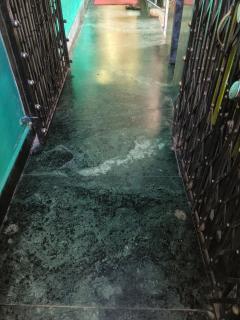 Star saba new market - 4