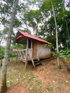 Albergue ecologico Sinchi Wasi - 8