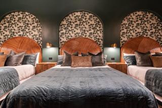 Hollyhock Suite 304 - 4
