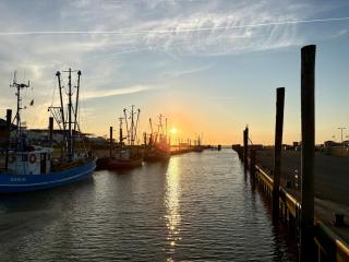 Familienfreundliches Nordsee-Nurdach-Ferienhaus - 3