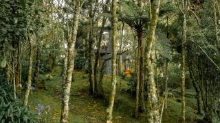 ZIRUMA HOUSE - 2