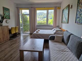 Zielona Przystań Apartament z widokiem na Pieniny - 8