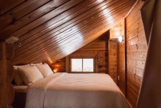 Northern Nest by Elys Collection - 0