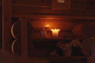 Northern Nest by Elys Collection - 4