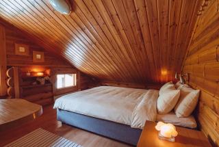 Northern Nest by Elys Collection - 2