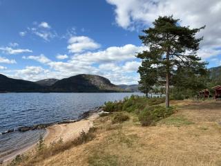 Longerak Camping - 6
