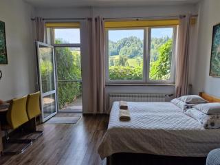 Zielona Przystań Apartament z widokiem na Pieniny - 0