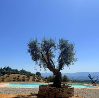 Agriturismo Miracco Atanasio Franco "Il Maniero" - 0