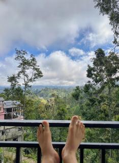 MaWilora Homestay Ella - 7