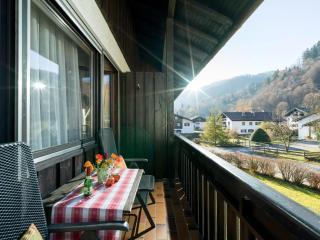 Ferienwohnanlage Oberaudorf C4 mit Sauna - 8