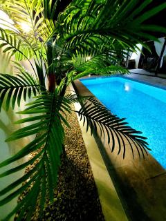 YANNIS GUEST HOUSE - 8