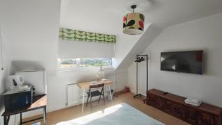 Aller Park, Newton Abbot - 3