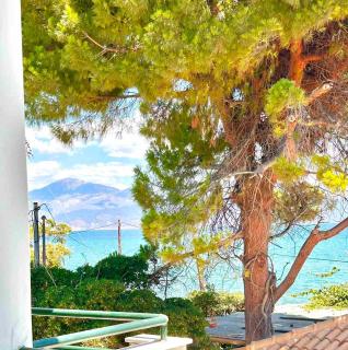 aigion pelagos apartments - 4