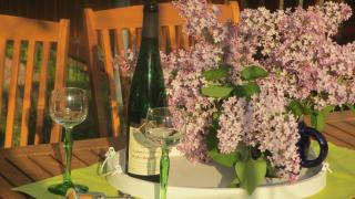 FeWo Strohbach - 4