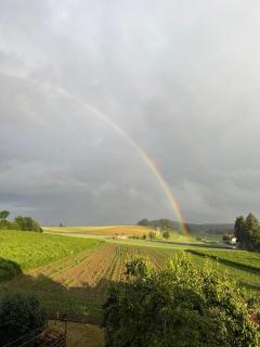 Idyllische Ferienwohnung - 3