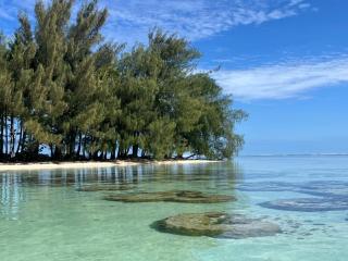 Fare Tihi Moana - 1