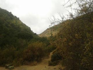 aitue ecoaldea - 7