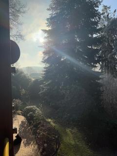 Am Wäldchen - 3