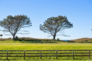 The Sandcastle - Papamoa Holiday Apartment - 8