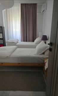 Fully loaded 2 bedroom with private beautiful garden - 3