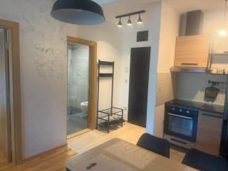 Apartman Mountain Harmony Zlatibor - 1