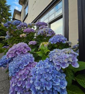 Royal Boutique Hotel, Greater Vancouver - 2