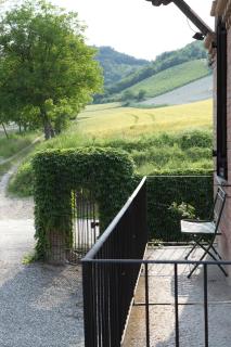 Tenuta Guazzaura - Serralunga di Crea - 7