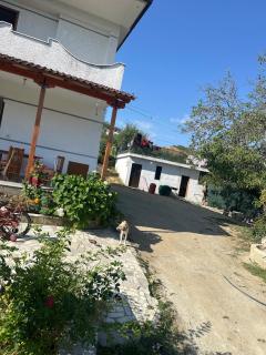 Vila Smeli Traditional House - 6