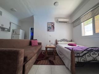 The Cozy studio in Hadaba - 3