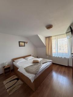Casa dintre munti - 7