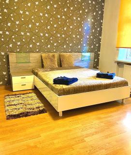 Klaipeda City Center Aparment - 2